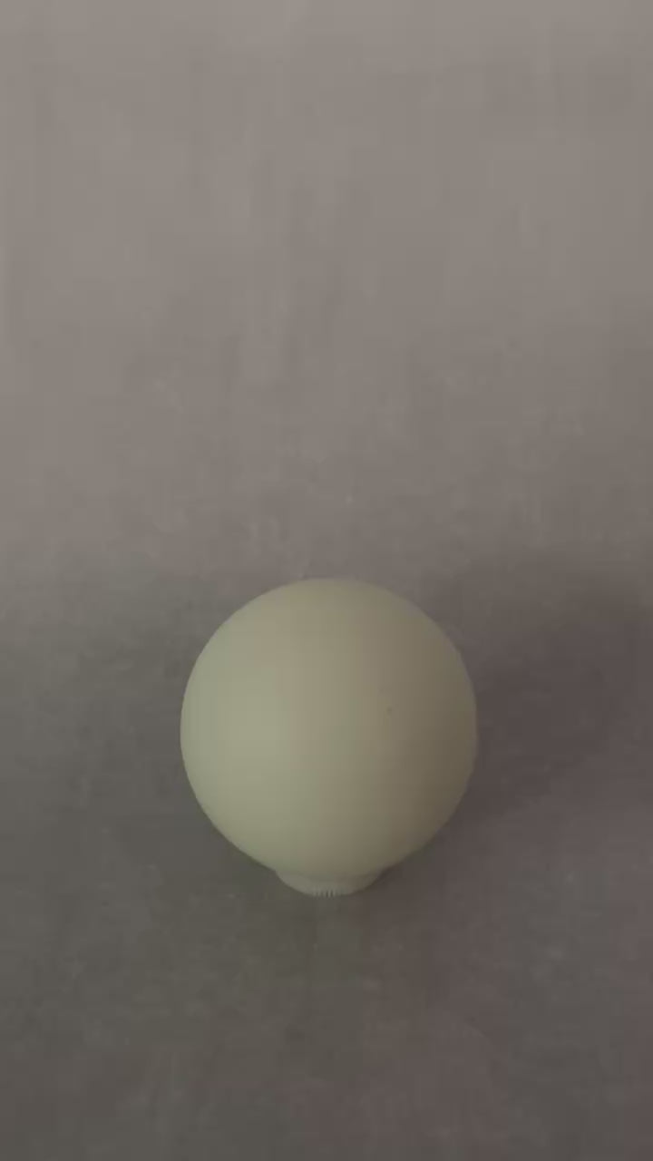 Black Light Flashlight